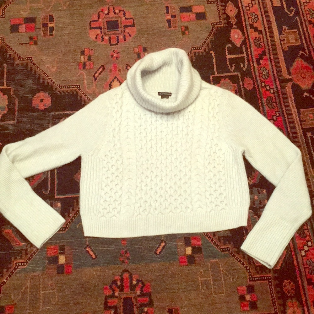 Club Monaco cropped sweater